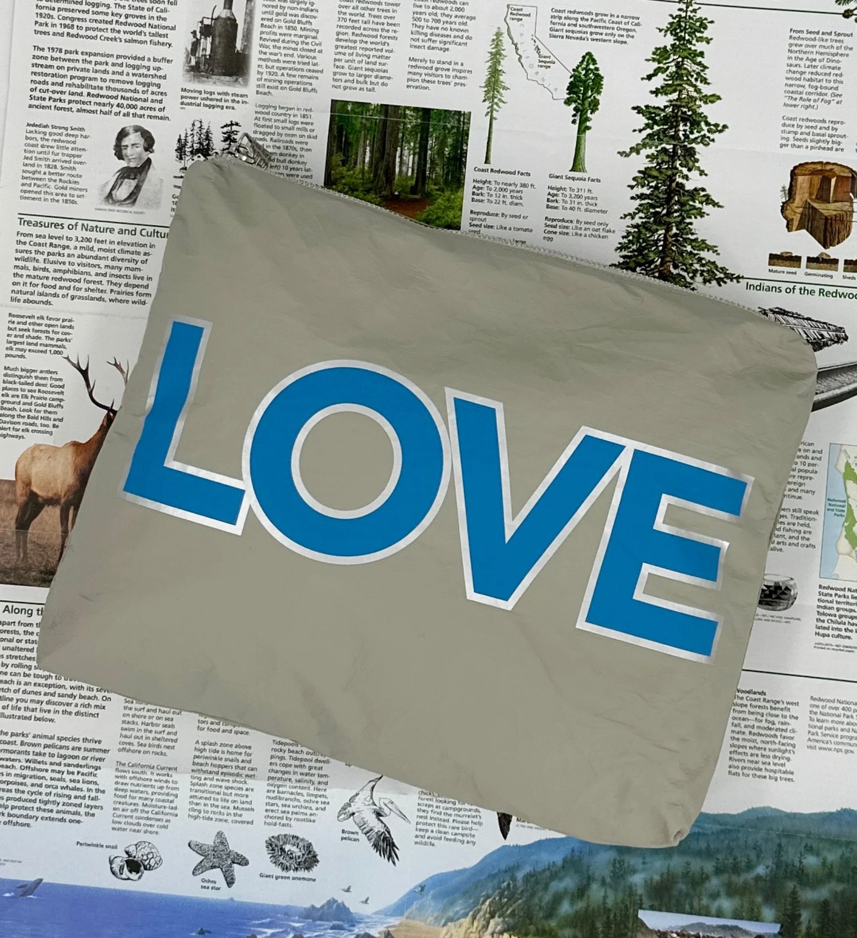 Medium Earth Gray and Sky Blue Double LOVE