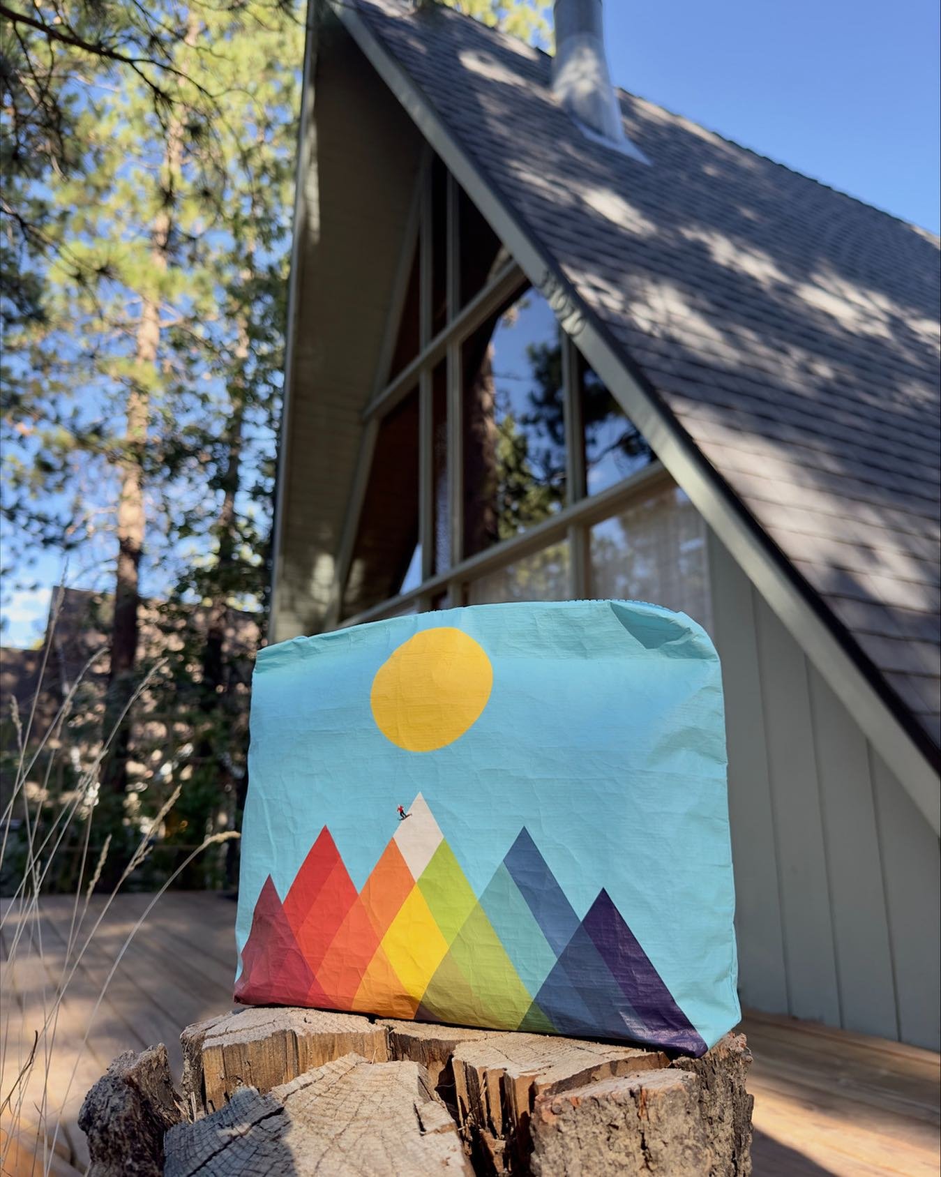 Medium Zipper Pack - Mountain Brights